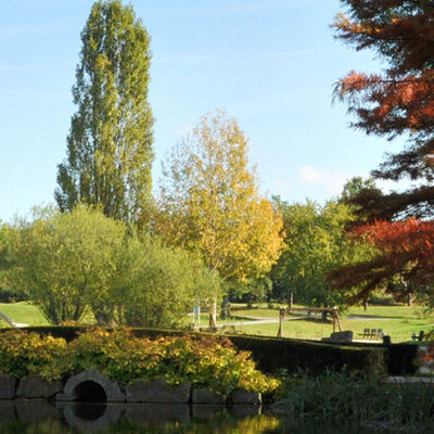 Ahnepark im Herbst_Panoramaaufnahme