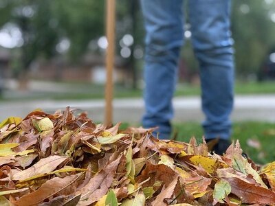 Herbstlaub_Haufen