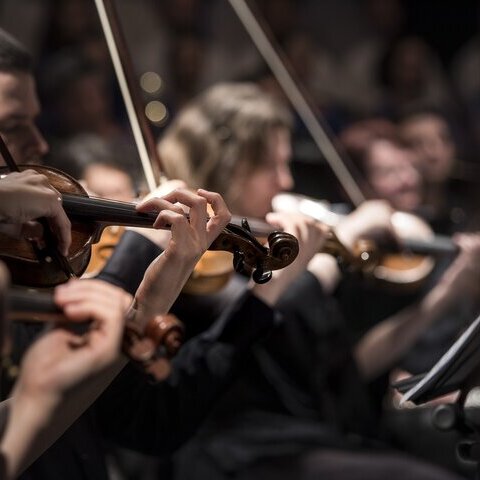 violins-g3bfc921d5_1920